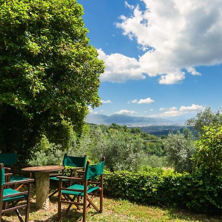 Belvilla By Oyo Plush Farmhouse With Swimming Pool Carmignano Dış mekan fotoğraf